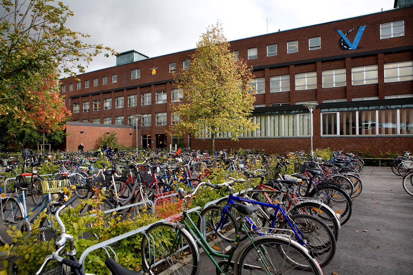Bicycles in front of V-huset. Photo.